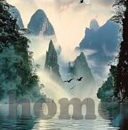 迪巴拉世界杯21号-迪巴拉，21号球衣下的世界杯梦想