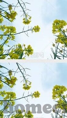 去吧皮卡丘九游版下载最新版-去吧皮卡丘九游版下载最新版，开启奇妙冒险之旅
