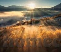怎样彩足球比分-解锁足球比分预测，科学方法与策略指南